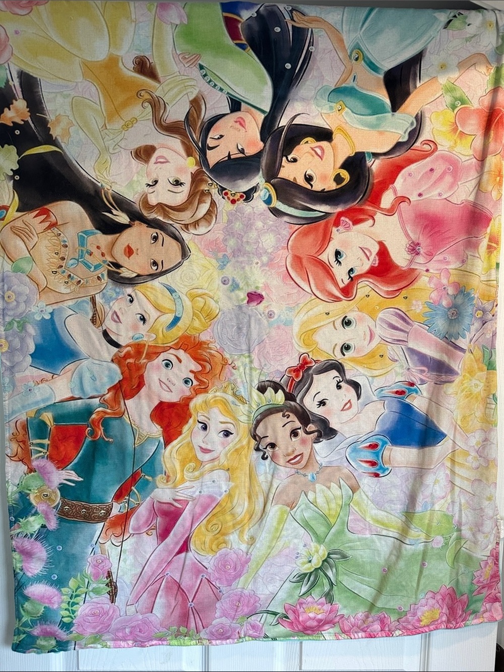 Disney Princess throw blanket